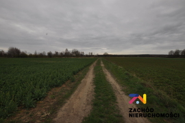 Działki rolne o łącznej pow. 2 Ha